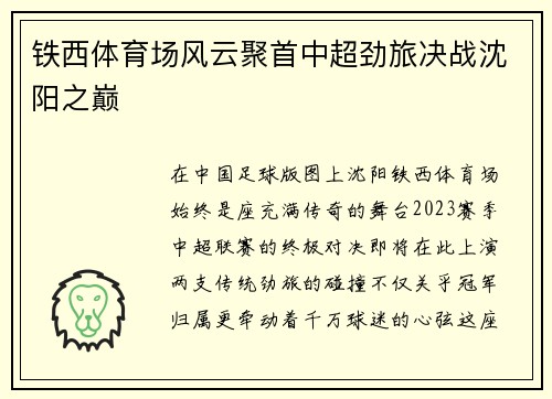 铁西体育场风云聚首中超劲旅决战沈阳之巅