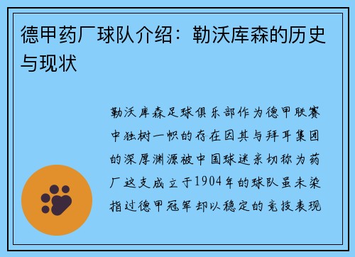 德甲药厂球队介绍：勒沃库森的历史与现状